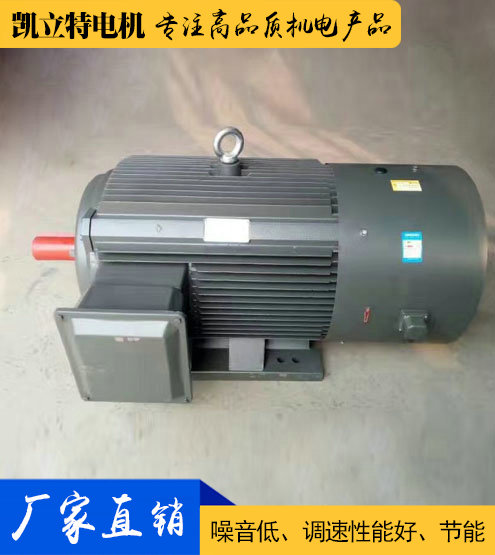 YVF2/YVP2/YP2變頻電機(jī)