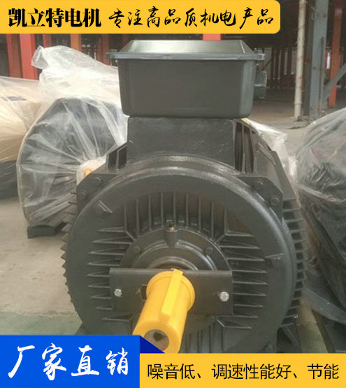 YE2/Y2/Y普通三相異步電動機