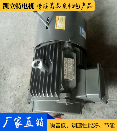 YEJ剎車(chē)制動(dòng)電機(jī)