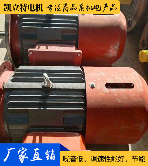 YEJ剎車(chē)制動(dòng)電機(jī)